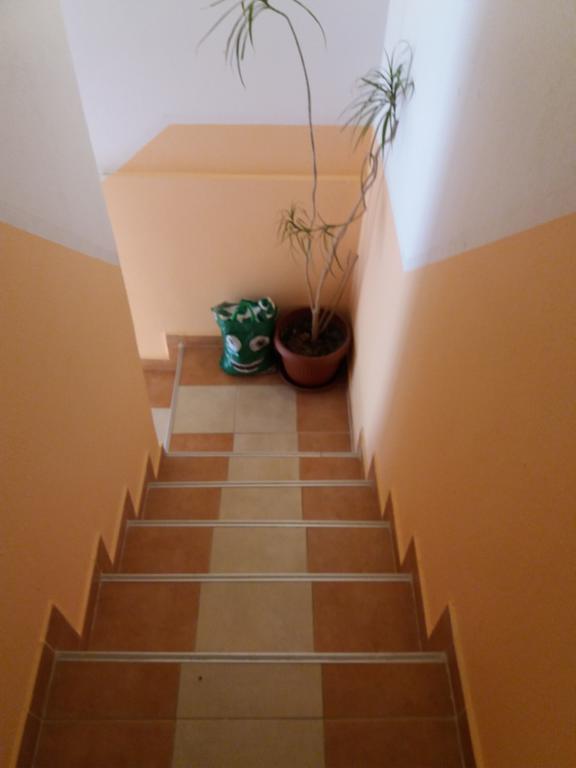 מוסטר Apartments Salute מראה חיצוני תמונה
